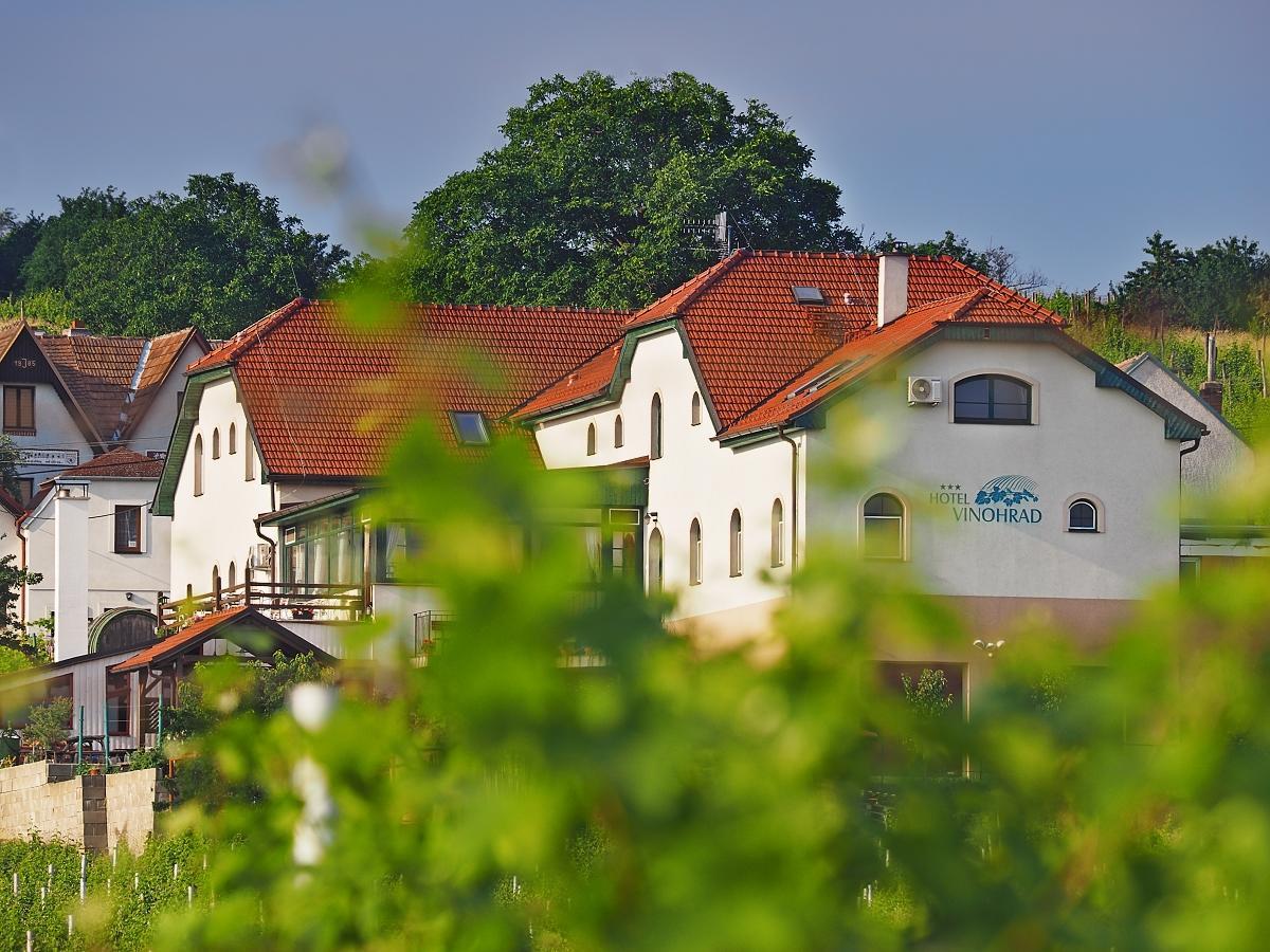Hotel Vinohrad Milotice Kültér fotó